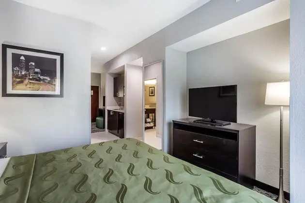 Business Süit, Sigara İçilmez (1 King, 2 Person Sofabed)