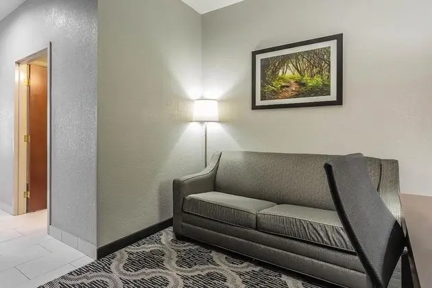 Business Süit, Sigara İçilmez (1 King, 2 Person Sofabed)