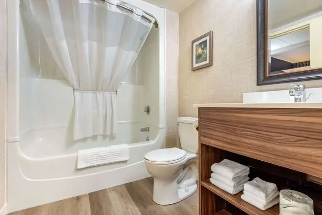 Süit, Sigara İçilmez (1 King Bed, 1 Double Bed)