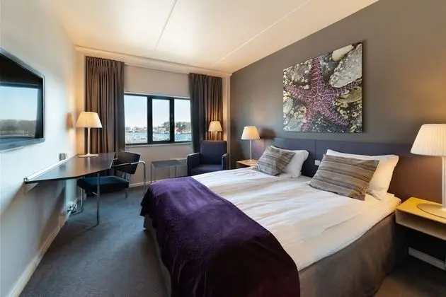 Standard Oda, 1 Çift Kişilik Yatak, Sigara İçilmez