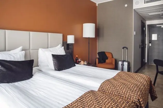 Superior Oda, 1 Çift Kişilik Yatak