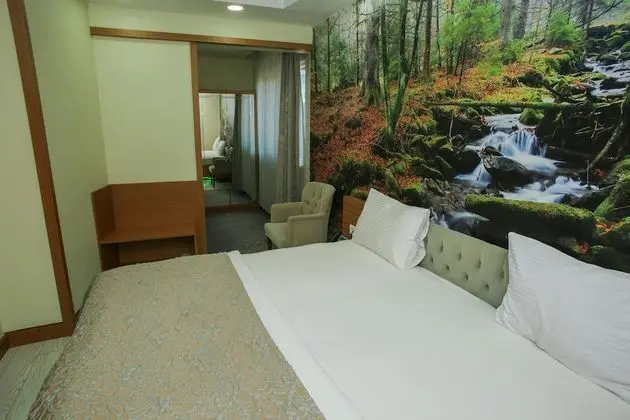 Deluxe Tek Büyük veya İki Ayrı Yataklı Oda