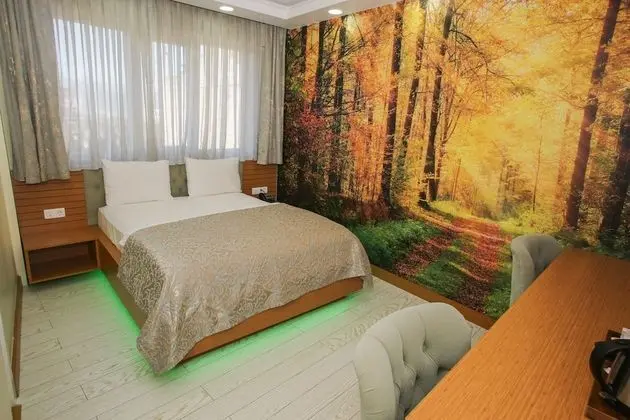 Deluxe Tek Büyük Yataklı Oda