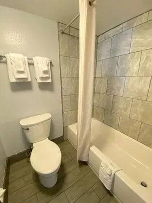 Comfort Oda, 1 En Büyük (King) Boy Yatak, Sigara İçilmez