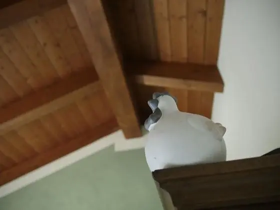 Tek Büyük veya İki Ayrı Yataklı Oda, Bahçe Manzaralı