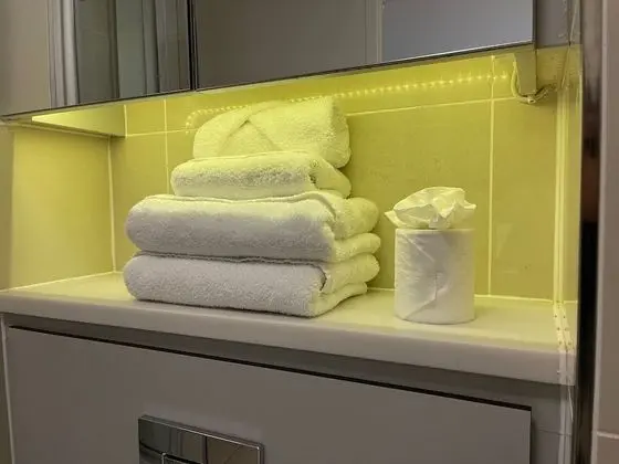 Executive Apart Daire, 2 Yatak Odası, Engellilere Uygun, Şehir Manzaralı (2New)