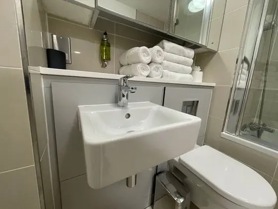 Executive Apart Daire, 2 Yatak Odası, Engellilere Uygun, Şehir Manzaralı (new)