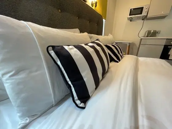 Executive Stüdyo, 1 Çift Kişilik Yatak, Küçük Mutfak, Şehir Manzaralı