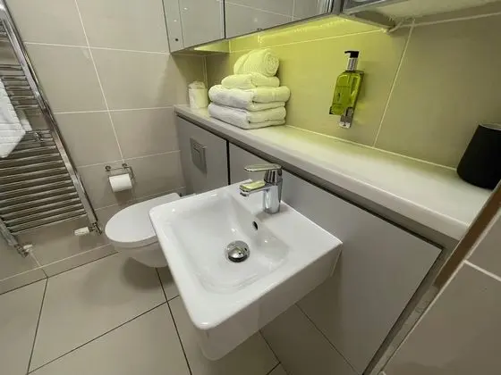 Executive Stüdyo, 1 Çift Kişilik Yatak, Küçük Mutfak, Şehir Manzaralı