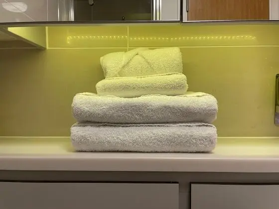 Executive Stüdyo, 1 Çift Kişilik Yatak, Küçük Mutfak, Şehir Manzaralı