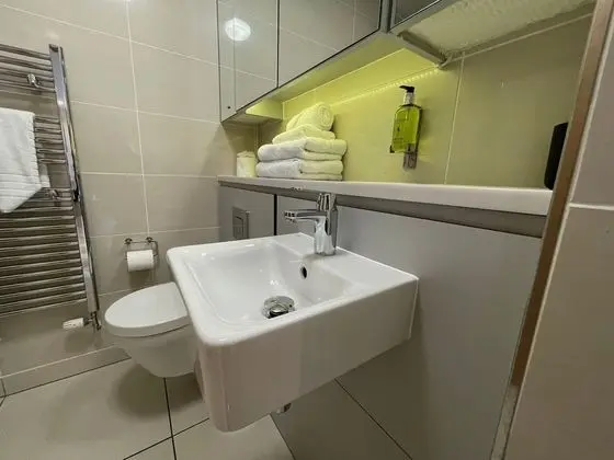 Executive Stüdyo, 1 Çift Kişilik Yatak, Küçük Mutfak, Şehir Manzaralı