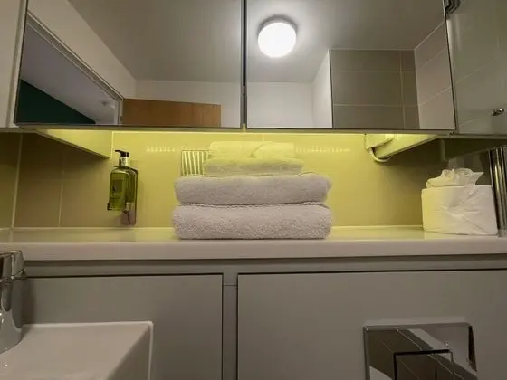 Superior Apart Daire, 2 Yatak Odası, Engellilere Uygun, Şehir Manzaralı