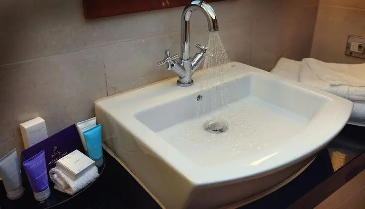 Luxury İki Ayrı Yataklı Oda (Suite)