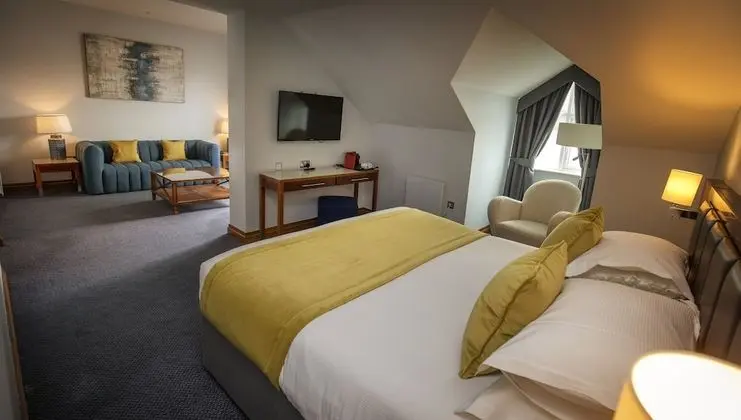 Luxury Tek Büyük Yataklı Oda (Penthouse)