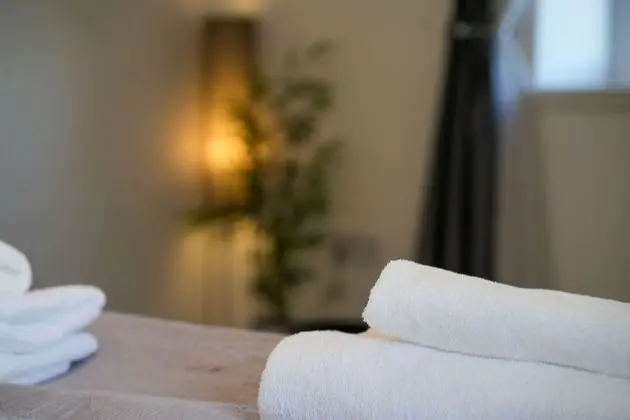 Deluxe Çatı Katı (Loft), Özel Banyo, Şehir Manzaralı