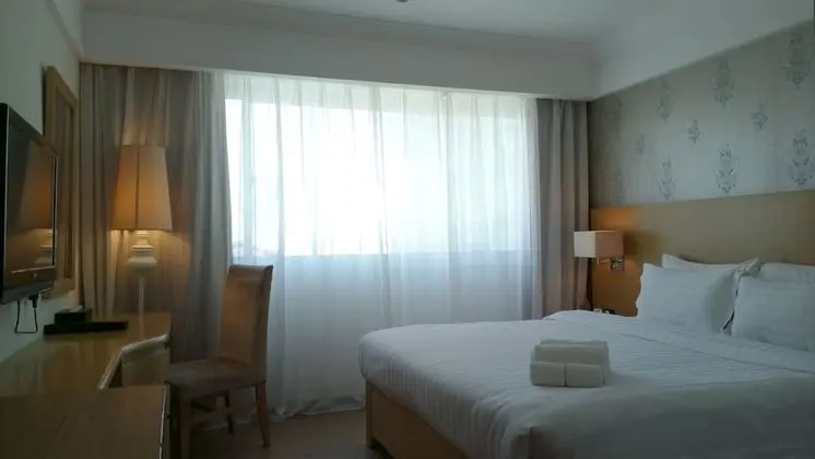 Business Tek Büyük Yataklı Oda, 1 En Büyük (King) Boy Yatak, Banyolu/Duşlu, Şehir Manzaralı