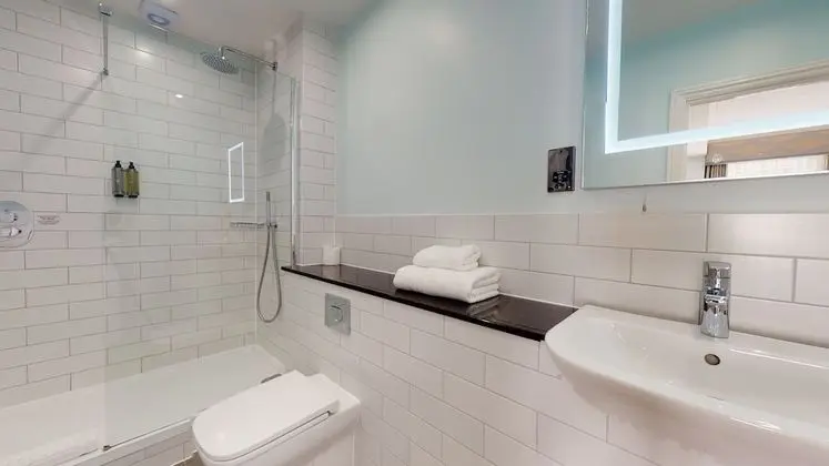 Executive Oda, 1 Çift Kişilik Yatak, Sigara İçilmez (Shower Only)