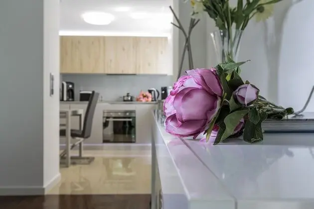 Deluxe Apart Daire, 1 Yatak Odası