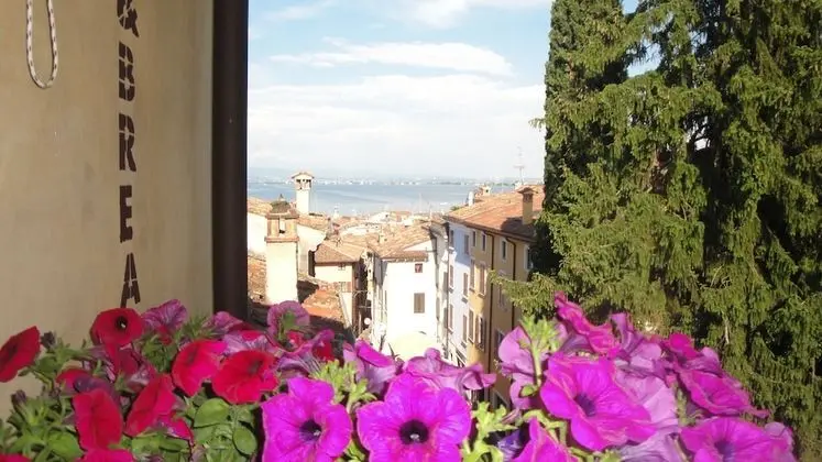 Tek Büyük Yataklı Oda, Ortak Banyo, Göl Manzaralı