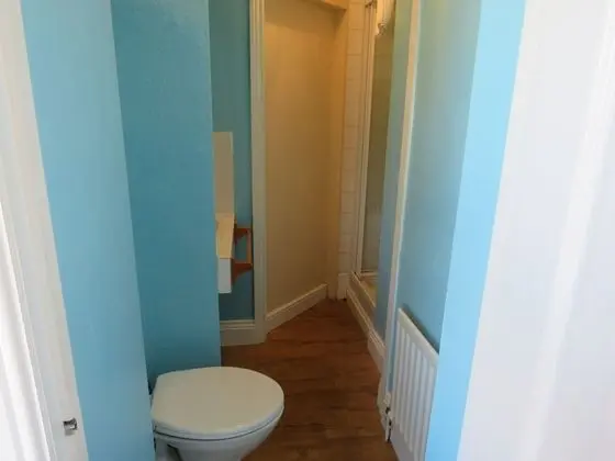 Classic Tek Büyük Yataklı Oda, Banyolu/Duşlu (room 2 king)