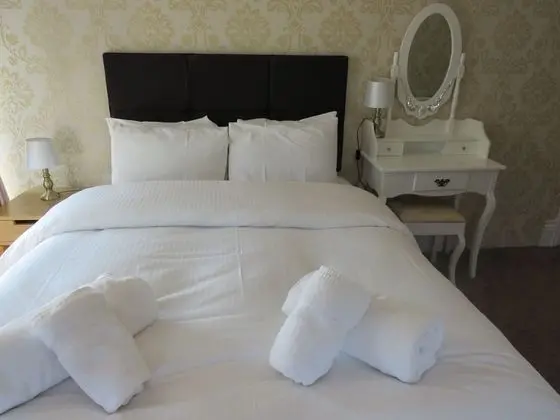 Comfort Tek Büyük Yataklı Oda, Banyolu/Duşlu (room 4 double)