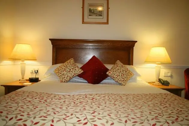Tek Büyük Yataklı Oda (1 King Bed)