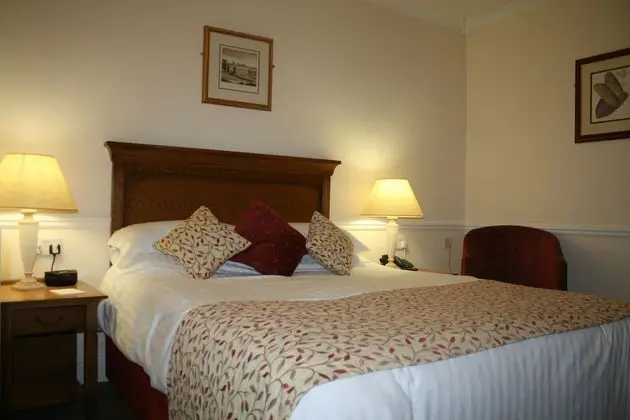 Tek Büyük Yataklı Oda (1 King Bed)