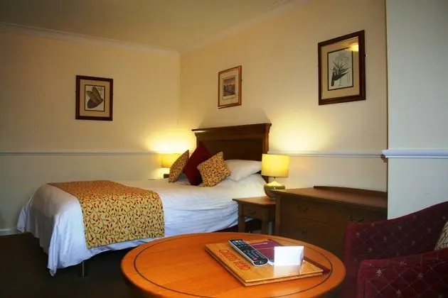 Tek Büyük Yataklı Oda (1 King Bed)