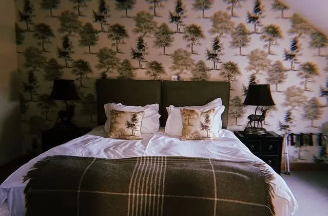 Deluxe Tek Büyük Yataklı Oda, 1 Çift Kişilik Yatak
