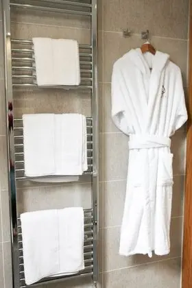 Superior Tek Büyük Yataklı Oda, 1 En Büyük (King) Boy Yatak, Balkon, Bahçe Manzaralı