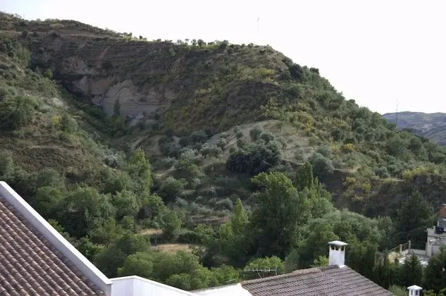 Tek Kişilik Oda