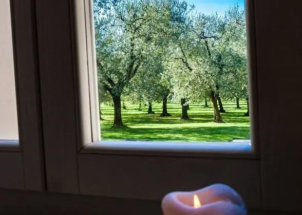 Superior Tek Büyük Yataklı Oda, Göl Manzaralı (Garden)