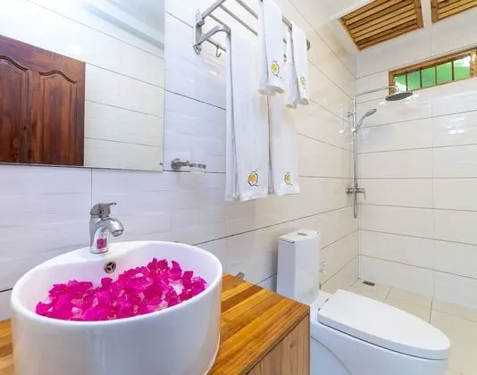 Deluxe Villa