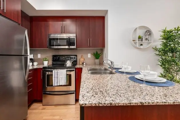 Deluxe Apart Daire, Birden Çok Yatak, Sigara İçilmez, Şehir Manzaralı