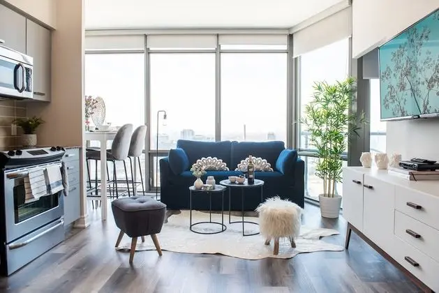 Premier Apart Daire, 2 Yatak Odası, Şehir Manzaralı