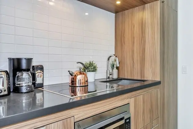 Premium Daire, 2 Yatak Odası, Banyolu/Duşlu, Şehir Manzaralı