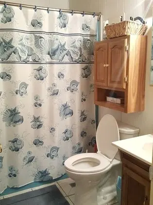 Ev