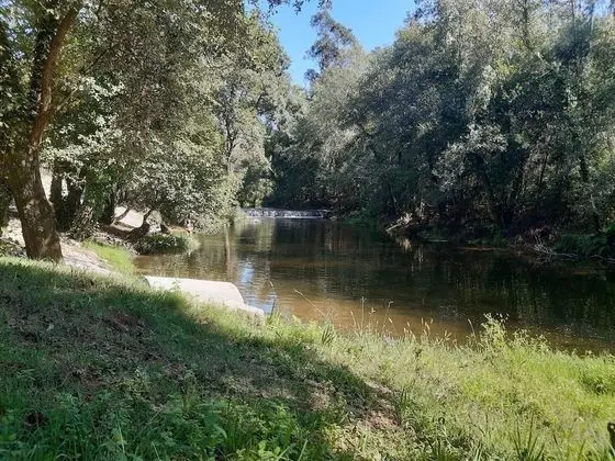 Ev, 2 Büyük (Queen) Boy Yatak