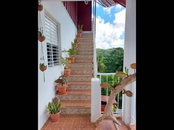 Apart Daire, 1 Yatak Odası, Balkon