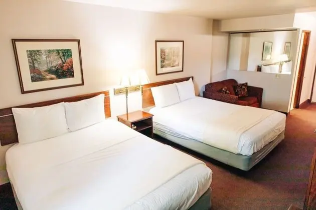 Basic Tek Büyük Yataklı Oda