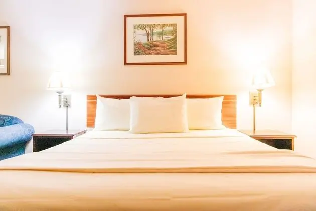 Basic Tek Kişilik Oda