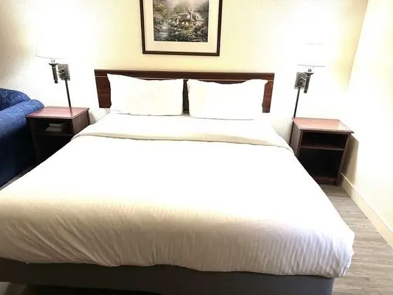 Basic Tek Kişilik Oda