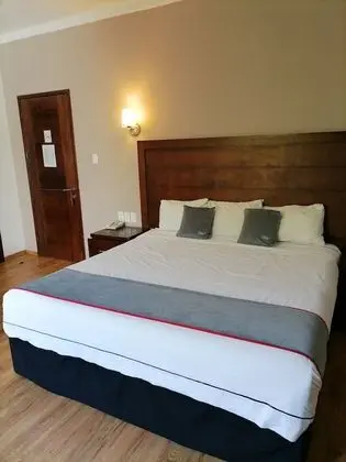 Süit