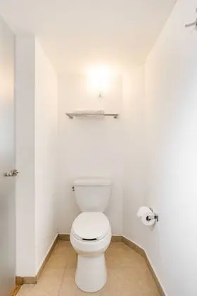 Süit
