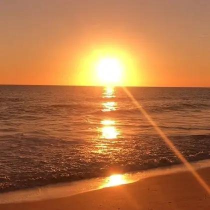 Apart Daire, 1 En Büyük (King) Boy Yatak ve Çekyat