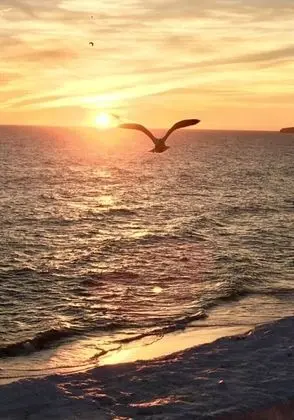 Apart Daire, 1 En Büyük (King) Boy Yatak ve Çekyat