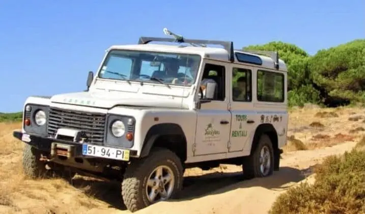 Apart Daire, 1 En Büyük (King) Boy Yatak ve Çekyat