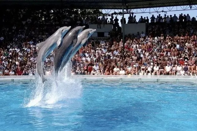 Apart Daire, 1 En Büyük (King) Boy Yatak ve Çekyat