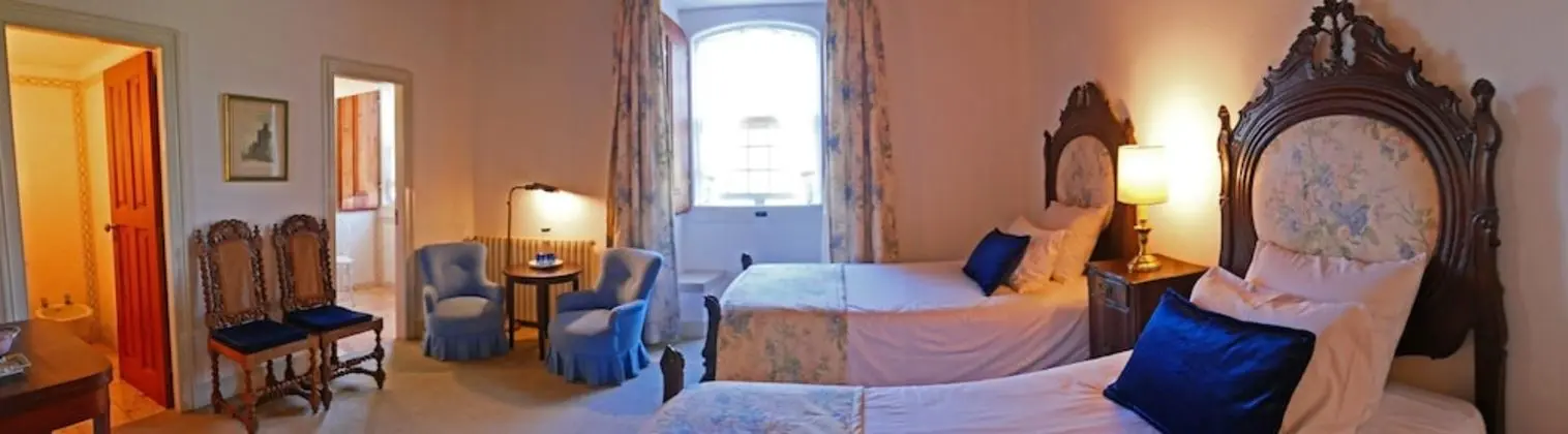 Superior Tek Büyük Yataklı Oda, 1 Çift Kişilik veya 2 Tek Kişilik Yatak