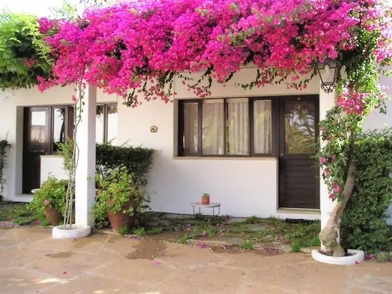 Exclusive Kır Evi, 2 Yatak Odası (4)
